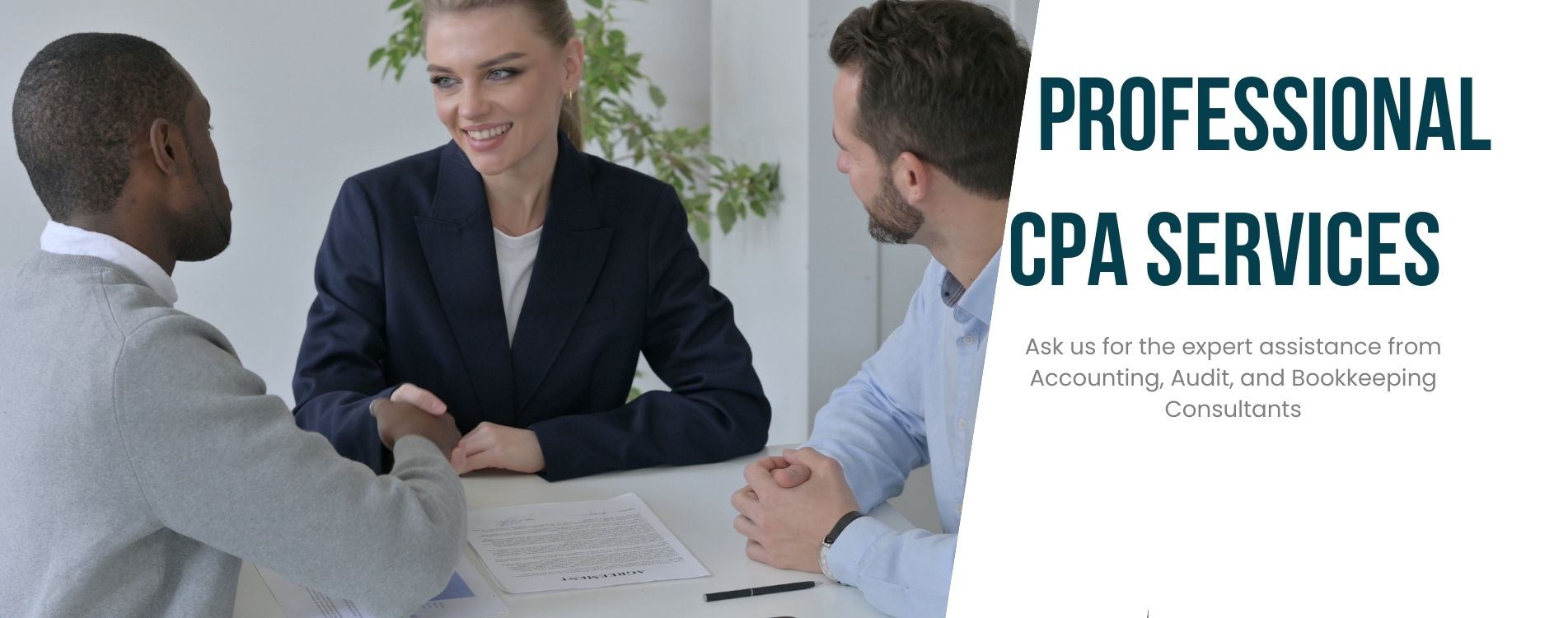 Professional CPA Services.jpg